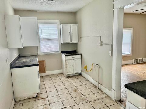 Tiny photo for 1600 14TH Street, Rock Island, IL 61201 (MLS # QC4269724)