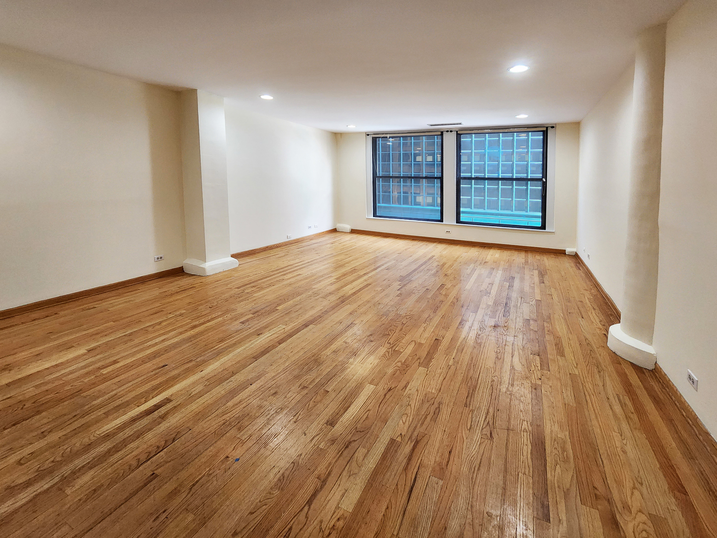 431 S Dearborn Street 407