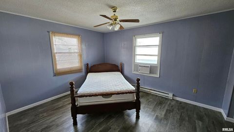 Tiny photo for 99 IROQUOIS Street, Mcclure, IL 62957 (MLS # EB453394)