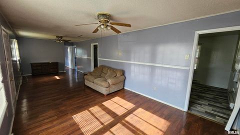 Tiny photo for 99 IROQUOIS Street, Mcclure, IL 62957 (MLS # EB453394)