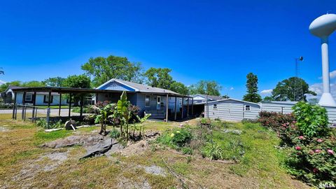 Tiny photo for 99 IROQUOIS Street, Mcclure, IL 62957 (MLS # EB453394)