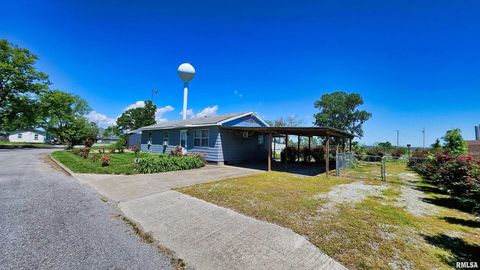 Tiny photo for 99 IROQUOIS Street, Mcclure, IL 62957 (MLS # EB453394)