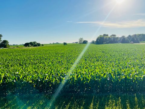 E 8th Road, Utica, IL 61373 - #: 11441635