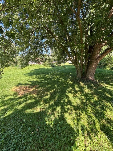 Tiny photo for 506 Paddock Avenue, Ashton, IL 61006 (MLS # 12715231)