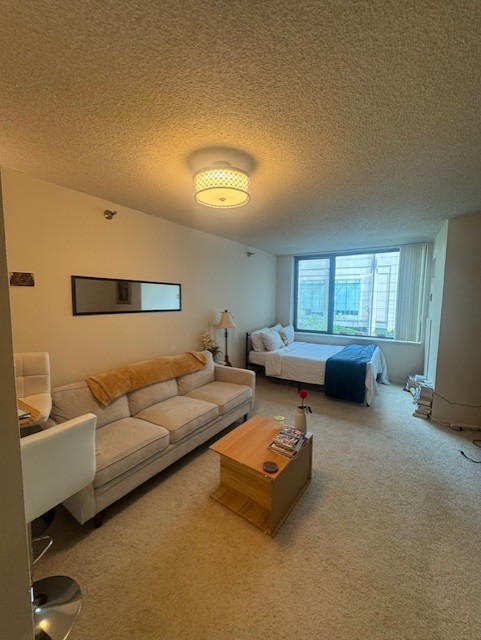 480 N McClurg Court 514