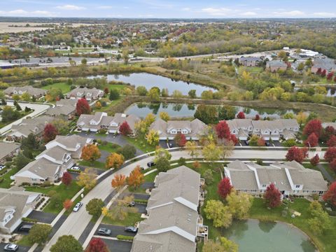 Tiny photo for 11636 Lake Shore Drive, Orland Park, IL 60467 (MLS # 12504469)