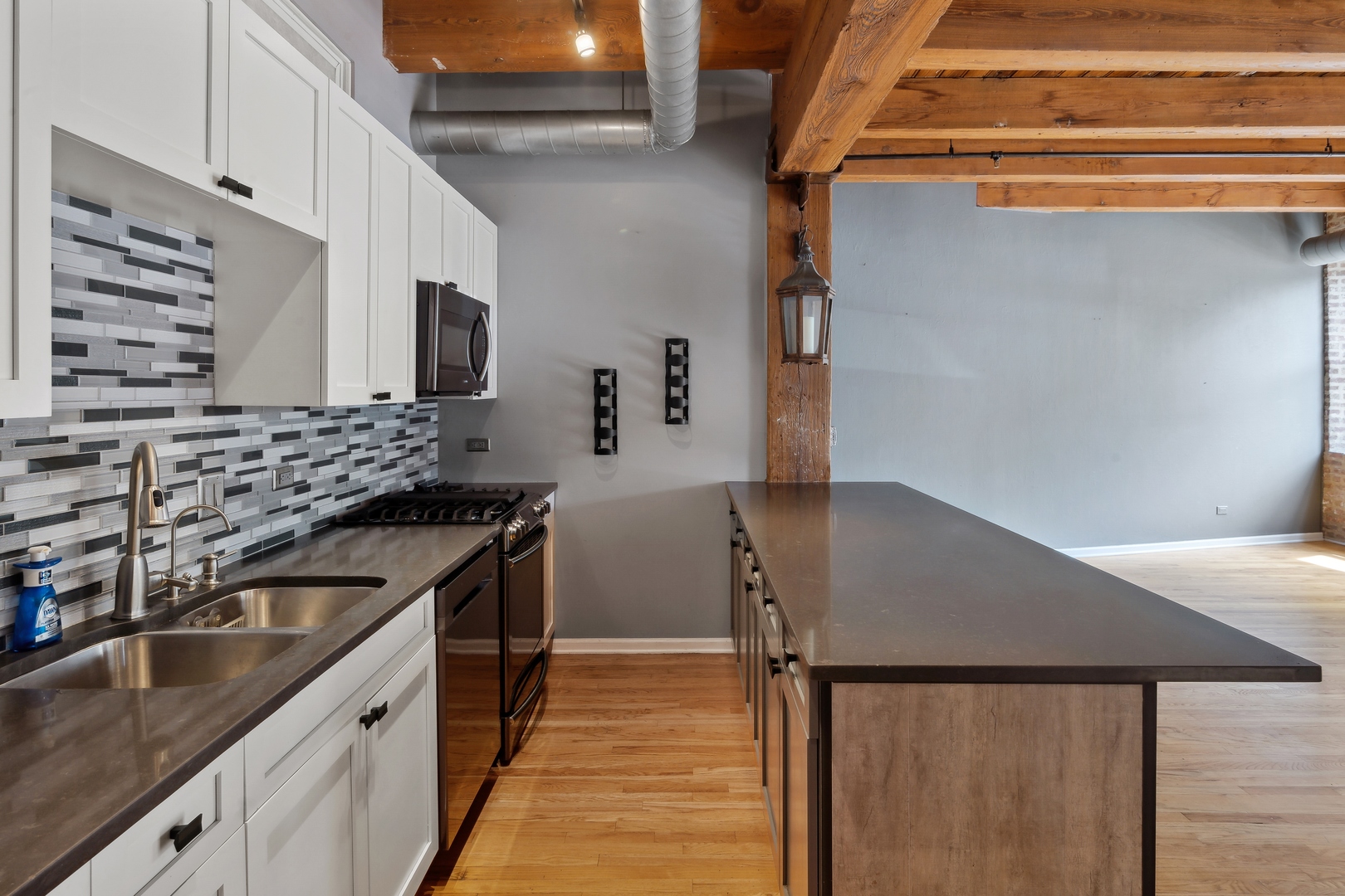 1735 W Diversey Parkway 102