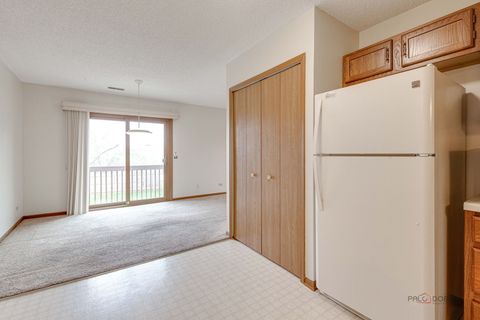 Tiny photo for 1115 Kane Street #1115, South Elgin, IL 60177 (MLS # 12622283)