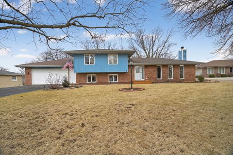 Photo of 15 E Cedar Court, Yorkville, IL 60560 (MLS # 12570017)