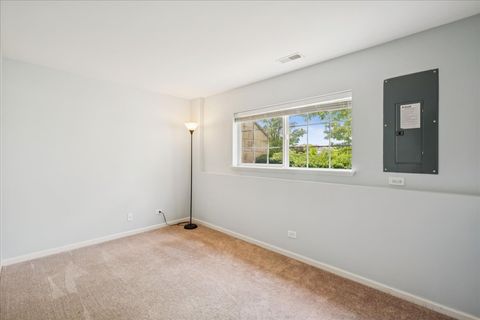 Tiny photo for 233 Jackson Street, Gilberts, IL 60136 (MLS # 12491173)