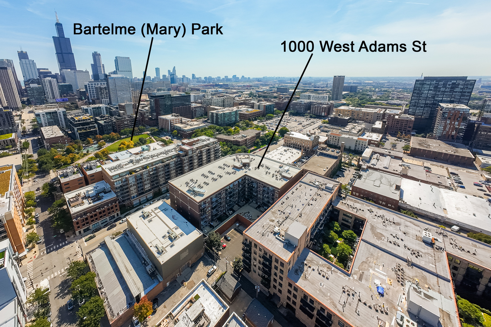 1000 W ADAMS Street 703