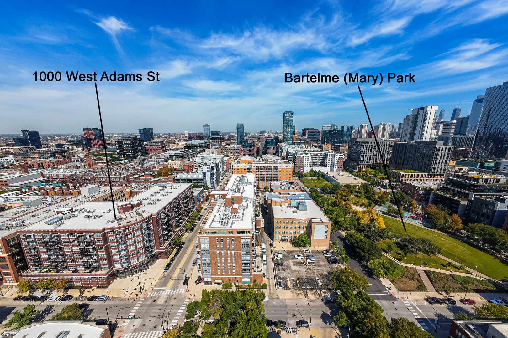 1000 W ADAMS Street 703