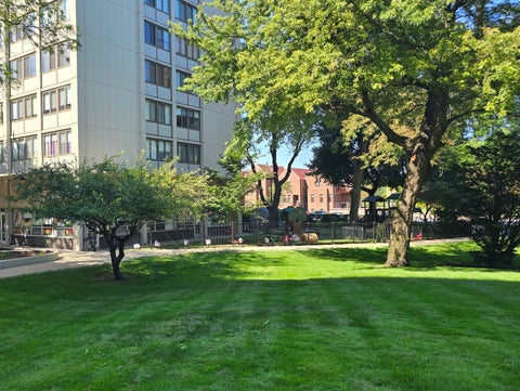 Tiny photo for 4800 S Lake Park Avenue #206, Chicago, IL 60615 (MLS # 12752829)