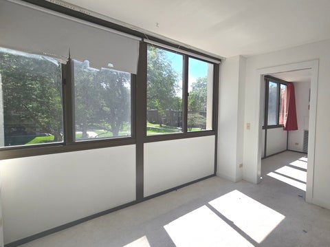 Tiny photo for 4800 S Lake Park Avenue #206, Chicago, IL 60615 (MLS # 12752829)