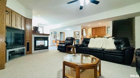 Tiny photo for 1016 MICHAEL Lane, West Frankfort, IL 62812 (MLS # EB458787)