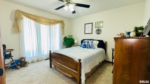 Tiny photo for 1016 MICHAEL Lane, West Frankfort, IL 62812 (MLS # EB458787)