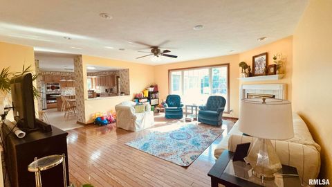 Tiny photo for 1016 MICHAEL Lane, West Frankfort, IL 62812 (MLS # EB458787)