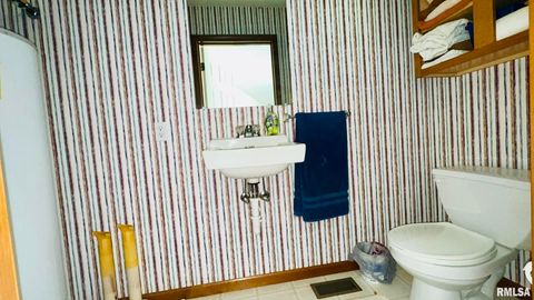 Tiny photo for 1016 MICHAEL Lane, West Frankfort, IL 62812 (MLS # EB458787)