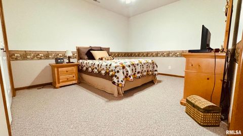 Tiny photo for 1016 MICHAEL Lane, West Frankfort, IL 62812 (MLS # EB458787)