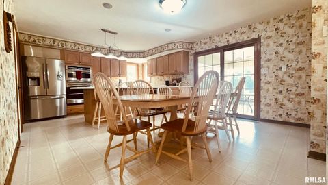 Tiny photo for 1016 MICHAEL Lane, West Frankfort, IL 62812 (MLS # EB458787)