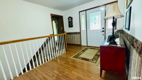 Tiny photo for 1016 MICHAEL Lane, West Frankfort, IL 62812 (MLS # EB458787)