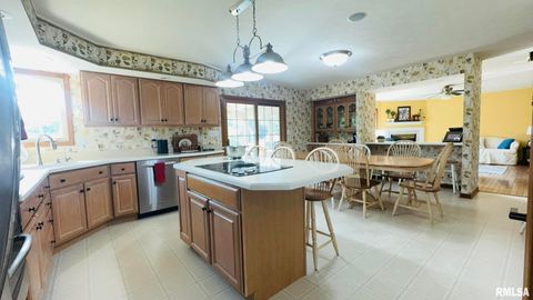 Tiny photo for 1016 MICHAEL Lane, West Frankfort, IL 62812 (MLS # EB458787)