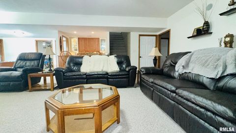 Tiny photo for 1016 MICHAEL Lane, West Frankfort, IL 62812 (MLS # EB458787)