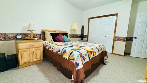 Tiny photo for 1016 MICHAEL Lane, West Frankfort, IL 62812 (MLS # EB458787)