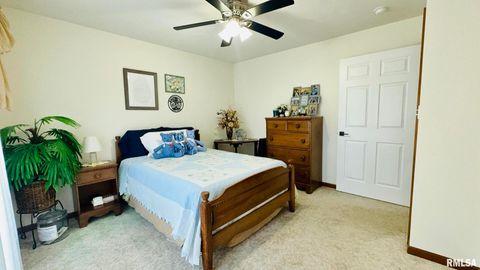 Tiny photo for 1016 MICHAEL Lane, West Frankfort, IL 62812 (MLS # EB458787)