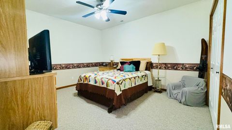 Tiny photo for 1016 MICHAEL Lane, West Frankfort, IL 62812 (MLS # EB458787)