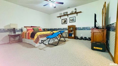 Tiny photo for 1016 MICHAEL Lane, West Frankfort, IL 62812 (MLS # EB458787)