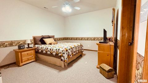 Tiny photo for 1016 MICHAEL Lane, West Frankfort, IL 62812 (MLS # EB458787)