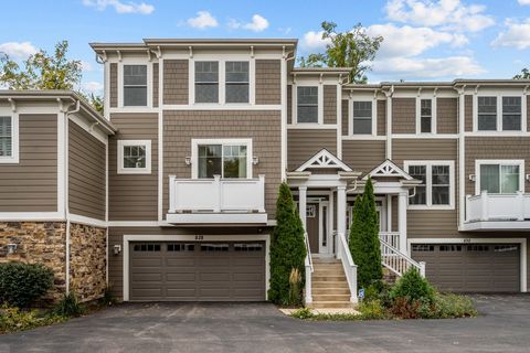 828 Chestnut Street Deerfield IL 60015