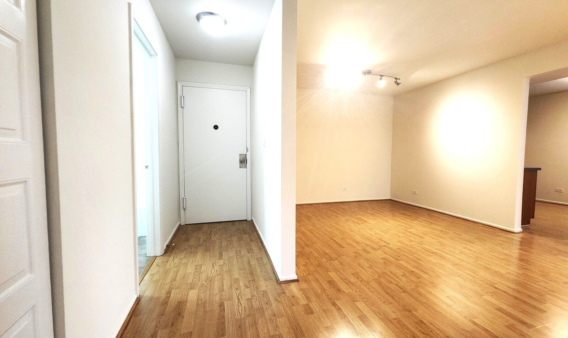 1450 Sandpebble Drive 333