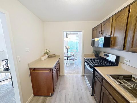 Tiny photo for 1800 7TH Street, East Moline, IL 61244 (MLS # QC4269939)