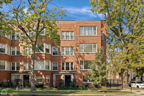 6200 S Evans Avenue 3 Chicago IL 60637