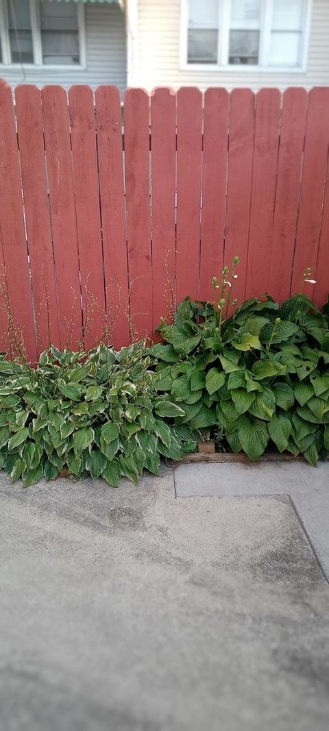 Tiny photo for 827 E 48th Street #C, Chicago, IL 60615 (MLS # 12453118)
