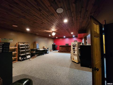 Tiny photo for 253 Ween Road, Desoto, IL 62924 (MLS # EB460556)