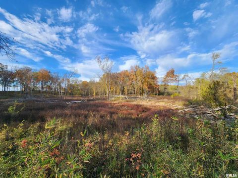 Tiny photo for 253 Ween Road, Desoto, IL 62924 (MLS # EB460556)