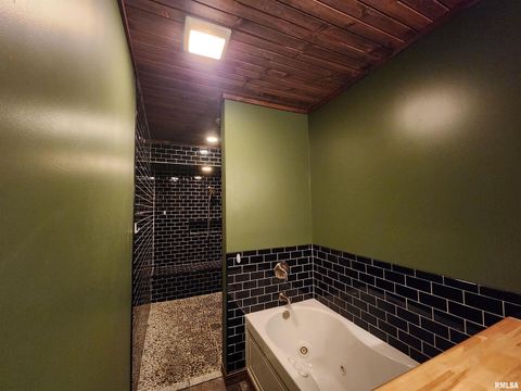 Tiny photo for 253 Ween Road, Desoto, IL 62924 (MLS # EB460556)