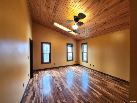 Tiny photo for 253 Ween Road, Desoto, IL 62924 (MLS # EB460556)