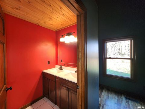 Tiny photo for 253 Ween Road, Desoto, IL 62924 (MLS # EB460556)