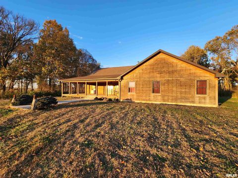 Tiny photo for 253 Ween Road, Desoto, IL 62924 (MLS # EB460556)