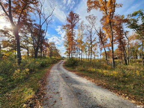 Tiny photo for 253 Ween Road, Desoto, IL 62924 (MLS # EB460556)