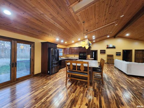 Tiny photo for 253 Ween Road, Desoto, IL 62924 (MLS # EB460556)