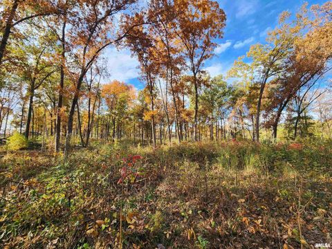 Tiny photo for 253 Ween Road, Desoto, IL 62924 (MLS # EB460556)