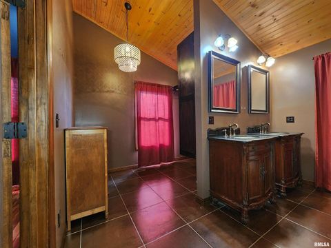 Tiny photo for 253 Ween Road, Desoto, IL 62924 (MLS # EB460556)