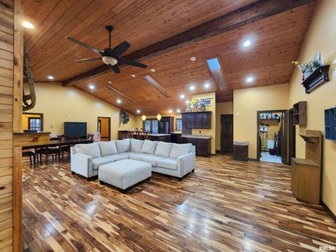 Tiny photo for 253 Ween Road, Desoto, IL 62924 (MLS # EB460556)