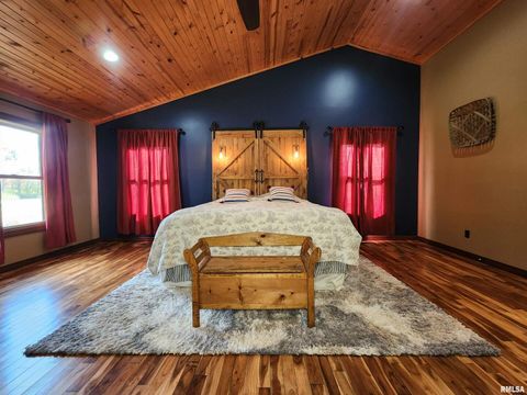 Tiny photo for 253 Ween Road, Desoto, IL 62924 (MLS # EB460556)