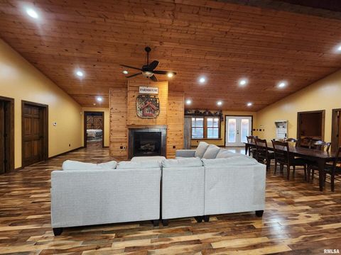 Tiny photo for 253 Ween Road, Desoto, IL 62924 (MLS # EB460556)